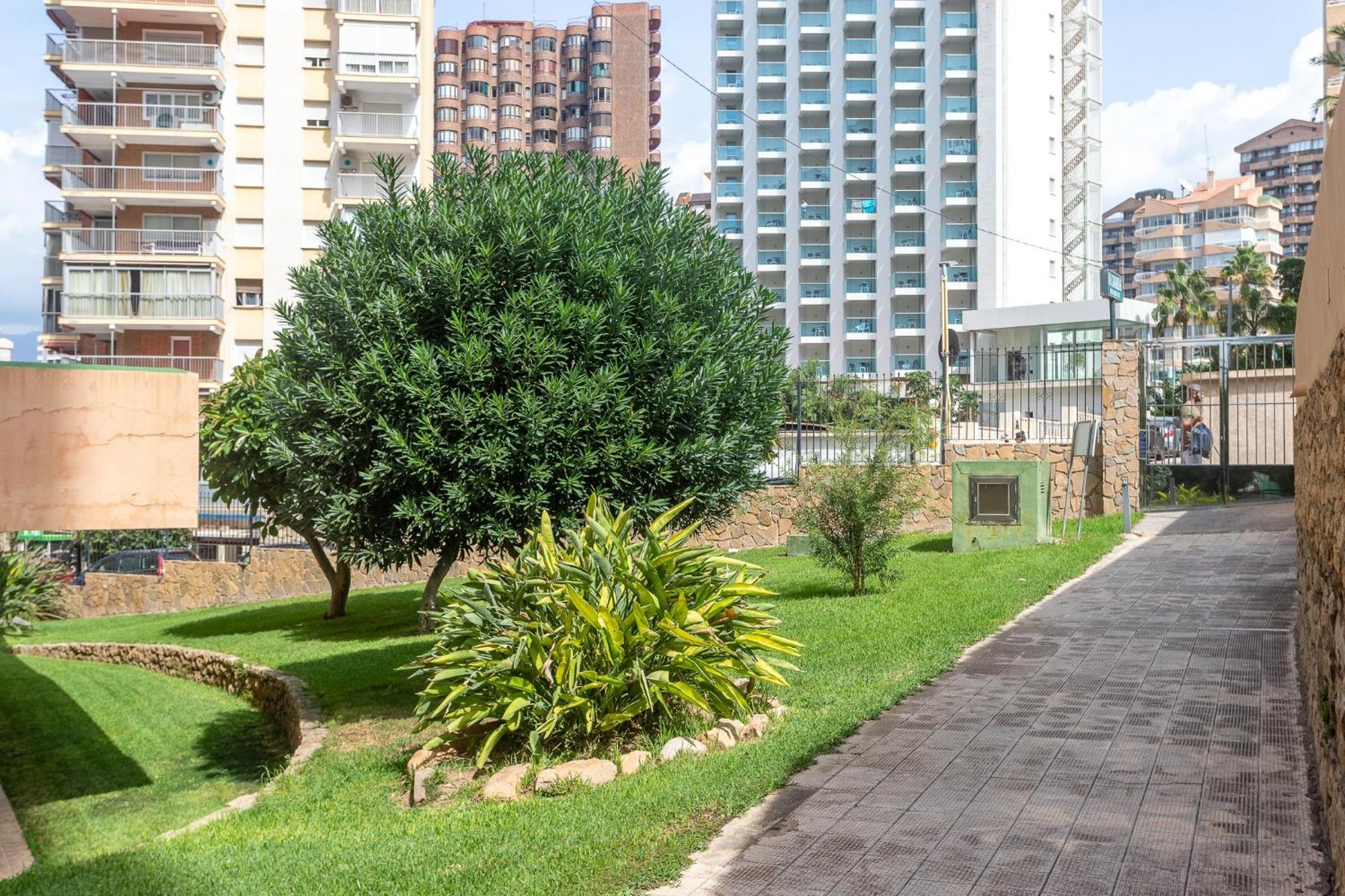 Apartamento Frente Al Mar بينايدورم المظهر الخارجي الصورة